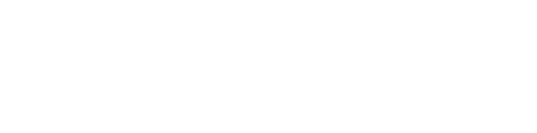 School of Social Transformation logo