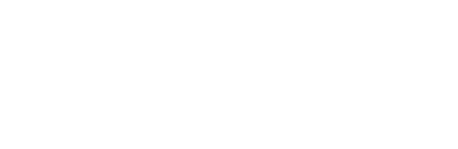 Institute for Social Science Research logo